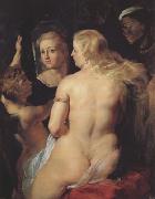 Peter Paul Rubens Venus at the Mirror (MK01) china oil painting reproduction